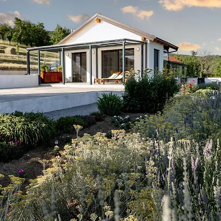 Sunny Hill * Vremski Britof