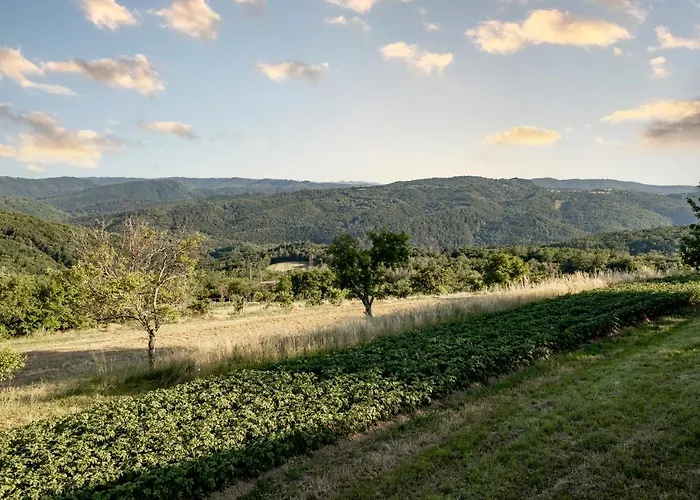 Sunny Hill Апартаменты